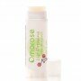 LIP DRESSING in Clear Citrus Punch