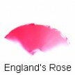 ROSEY GLOW in England’s Rose