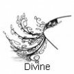 WINDOW TO THE SOUL in Divine (premium paper eyelashes)