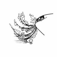 divine false eye lashes Cover Picture